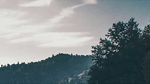长城币收藏价值揭秘，你手中的宝贝值多少？
